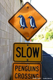 penguins-crossing