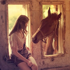 horse in window